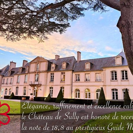 Grand Hotel "Chateau De Sully" - Piscine & Spa -Teritoria Sully  Kültér fotó